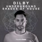 Cover art for Underground Shades of House Vol. 1 by Dilby – tech house sample pack for producers, best selling tech house sample