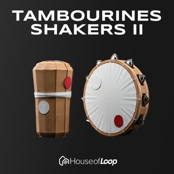Image of a cardboard shaker and tambourine for electronic music production.