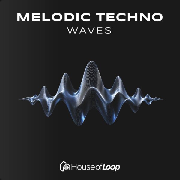Electronic music waveform visualization for Melodic Techno Waves.