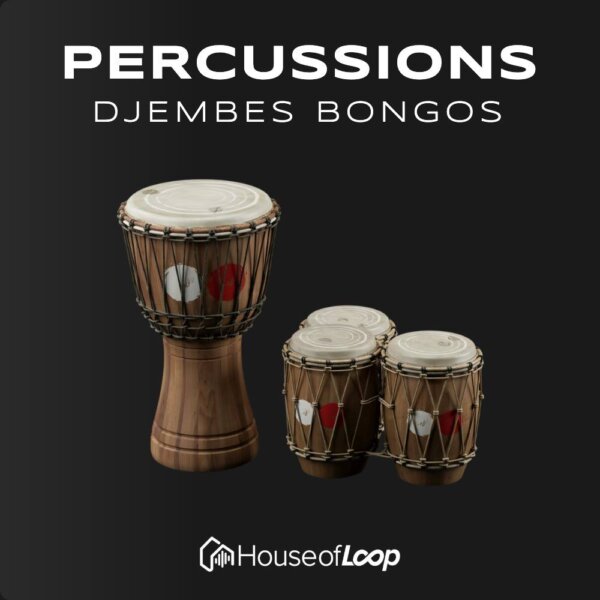 bongo Djembe percussion sample pack featuring two djembe drums for Ableton templates and loops. bongo loops djembe loops