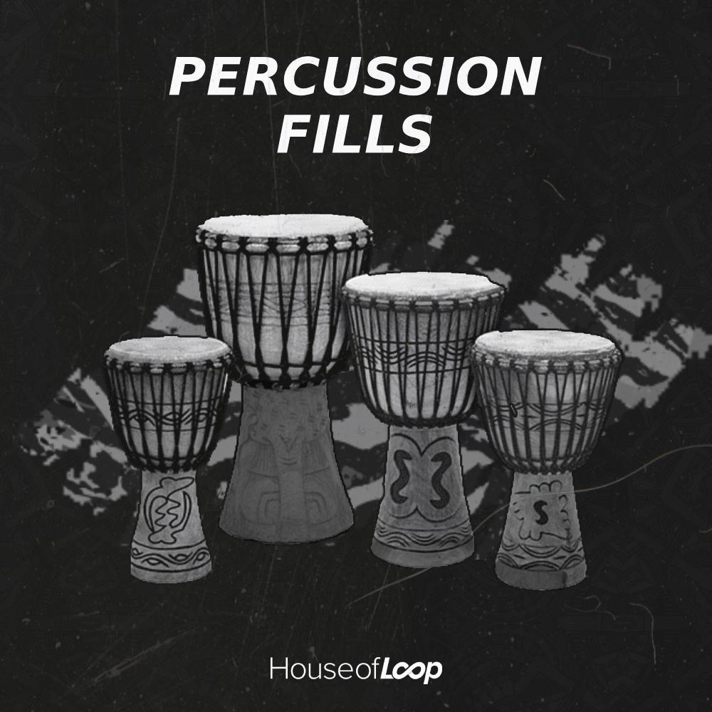 Percussion Fills Sample Pack – a rhythmically charged collection designed to inject dynamic energy into your productions